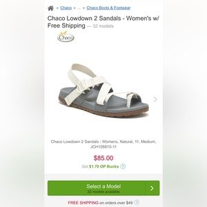 Brand new Chaco lowdown 2 sandals